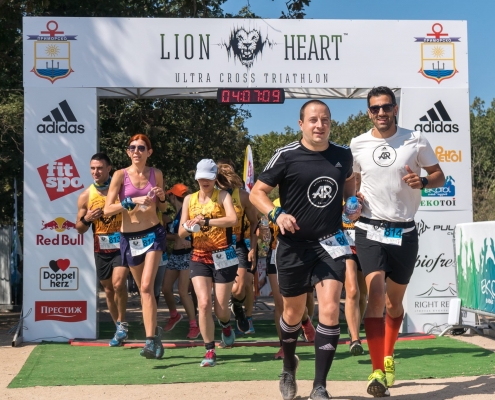 LIONS HEART