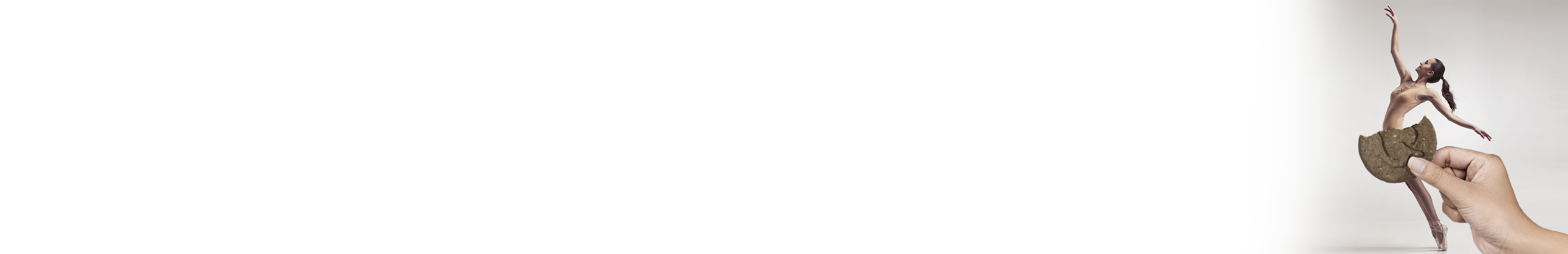Cover_Page_2900x470px_Wellness